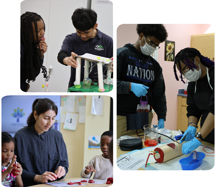 HSA Minnesota STEM Education